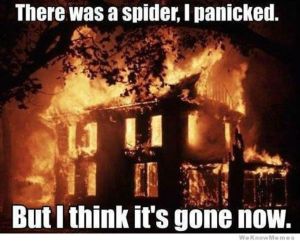 there-was-a-spider-i-panicked